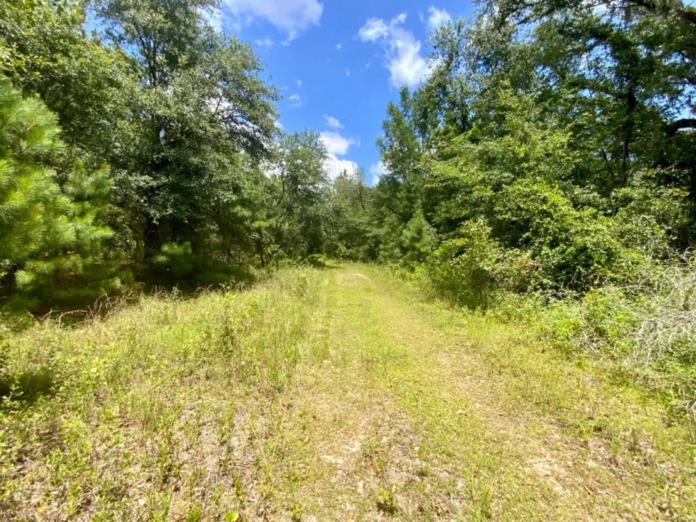 36 Acres Dandelion St featured image