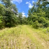 36 Acres Dandelion St