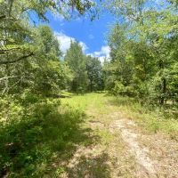 36 Acres Dandelion St images 3