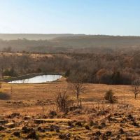 Boulanger 475 Acres images 1