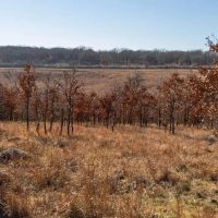 Boulanger 475 Acres images 3