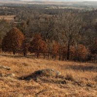 Boulanger 475 Acres images 4