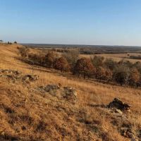 Boulanger 475 Acres images 5