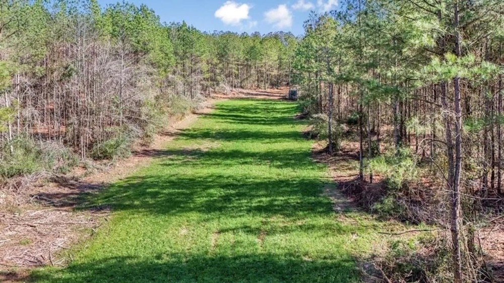 Hunting Land with Camp for Sale in Prentiss MS featured image