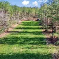 Hunting Land with Camp for Sale in Prentiss MS
