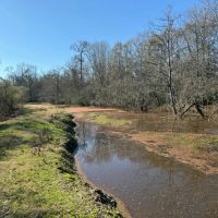 LA - Richland 360 acres - images 4