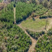 150 Acres For Sale Amite County - Will Divide images 2