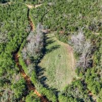 150 Acres For Sale Amite County - Will Divide images 4