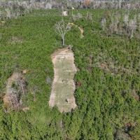 150 Acres For Sale Amite County - Will Divide images 5