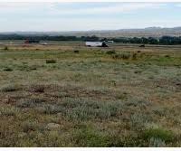6,400 acres Prairie Dog State Park Deer Hunting Land in Norton, KS images 3