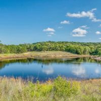 450 -Acres Tract 2 CR 407 Cross Plains TX 76443 images 3