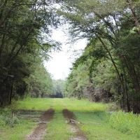 CAN03 images 2