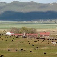 Northeast Oregon s Premier Estate The DLX Ranch images 2
