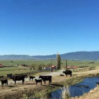 Northeast Oregon s Premier Estate The DLX Ranch images 5