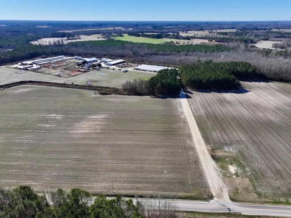 108.2 acres of Farmland Timberland and Investment Land For Sale in Wilson County NC featured image