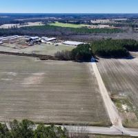 108.2 acres of Farmland Timberland and Investment Land For Sale in Wilson County NC