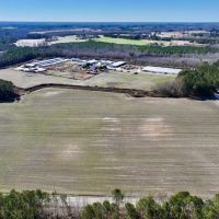 108.2 acres of Farmland Timberland and Investment Land For Sale in Wilson County NC images 2