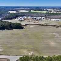108.2 acres of Farmland Timberland and Investment Land For Sale in Wilson County NC images 3