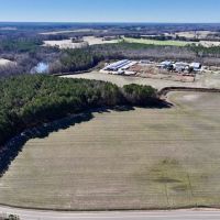 108.2 acres of Farmland Timberland and Investment Land For Sale in Wilson County NC images 4