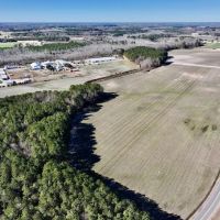108.2 acres of Farmland Timberland and Investment Land For Sale in Wilson County NC images 5