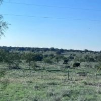 Raw land in Sutton County for hunting or homesite images 3