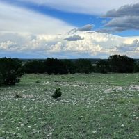 Raw land in Sutton County for hunting or homesite images 4