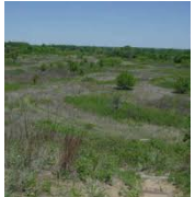 Sand Hills State Park 1,123 acres Deer Hunting Land in Sedgwick, KS images 2