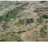 Sand Hills State Park 1,123 acres Deer Hunting Land in Sedgwick, KS images 5