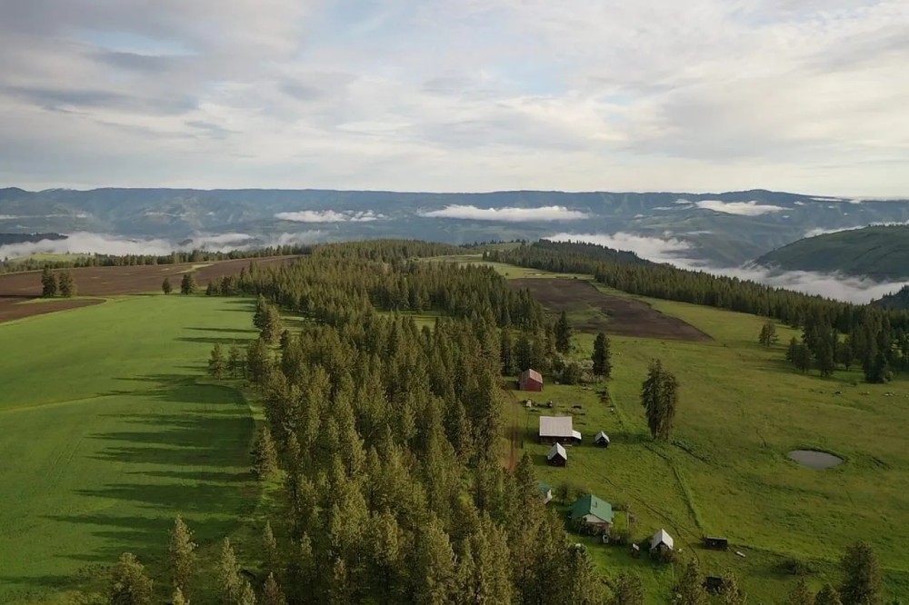 Buford Ridge Ranch featured image