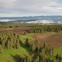 Buford Ridge Ranch images 4