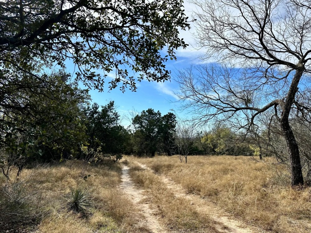 New Listing 41.850 Ac Callahan County featured image