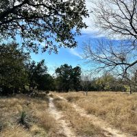 New Listing 41.850 Ac Callahan County