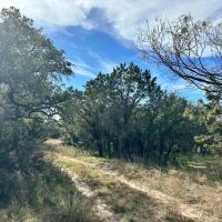 New Listing 41.850 Ac Callahan County images 2
