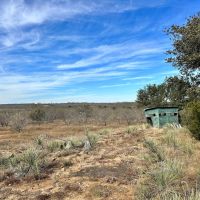 New Listing 41.850 Ac Callahan County images 4