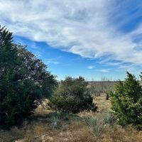 New Listing 41.850 Ac Callahan County images 5