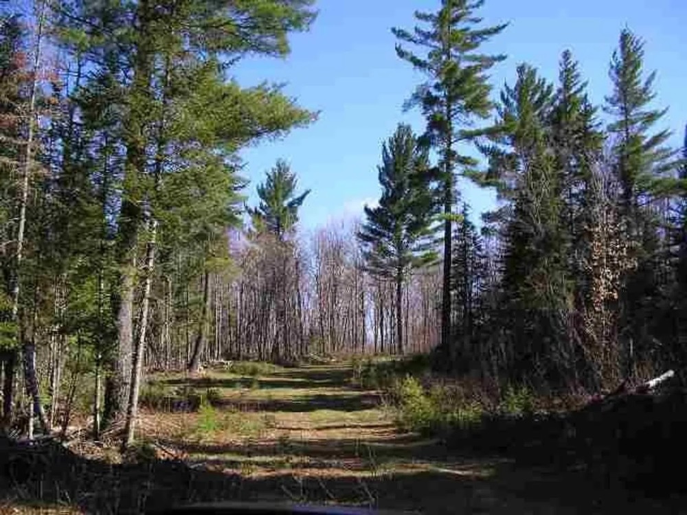 240 Wooded Recreational Parcel 50163971 featured image