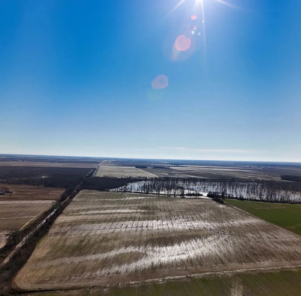 80 Acres in Coahoma County MS featured image
