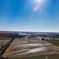 80 Acres in Coahoma County MS images 1