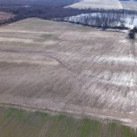 80 Acres in Coahoma County MS images 3