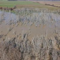 80 Acres in Coahoma County MS images 4