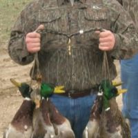 80 Acres in Coahoma County MS images 5