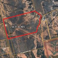 New Listing 54.57 Acres Taylor County images 2