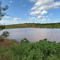New Listing 54.57 Acres Taylor County images 4