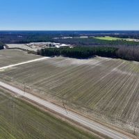 26.4 acres of Farm and Timber Land For Sale in Wilson County NC images 3