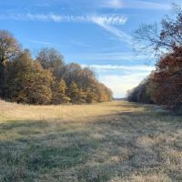 277 Acres in Tunica County in Robinsonville MS images 2