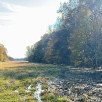 277 Acres in Tunica County in Robinsonville MS images 3