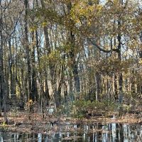 277 Acres in Tunica County in Robinsonville MS images 4
