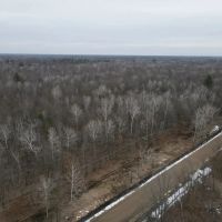 Michigan Hunting and Recreational Land for Sale