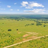 347 -Acres TBD FM 576 Breckenridge TX 76424 images 3