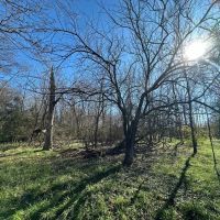 Hatton Homestead Tract 4C images 2